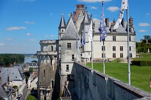 Private 3 Loire Valley Castles by Minivan from Paris with tickets & Wine tasting.