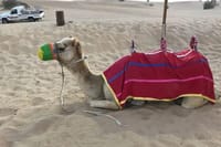 Charming Scenic Dune Safari ! Desert Safari with BBQ Dinner & Camp Activities.  4