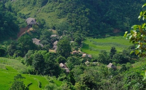 Three-Day Pu Luong Nature Reserve and Ninh Binh Tour from Hanoi