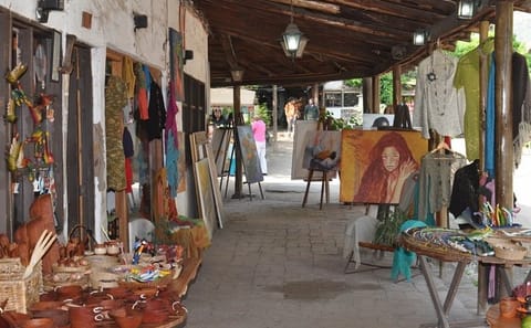 Deluxe Culinary and Wine Tour in Santiago, Chile
