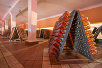 Wine Tour and Tasting on Garda Hills 4