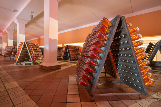 Wine Tour and Tasting on Garda Hills photo 4