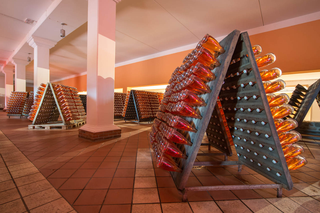 Wine Tour and Tasting on Garda Hills 4
