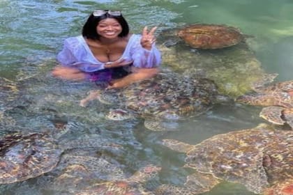 Zanzibar Swim, Snorkel & Feed Turtles at Baraka Aquarium