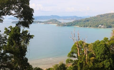 ATV Forest Adventure Tour in Kamala and Kathu, Thailand