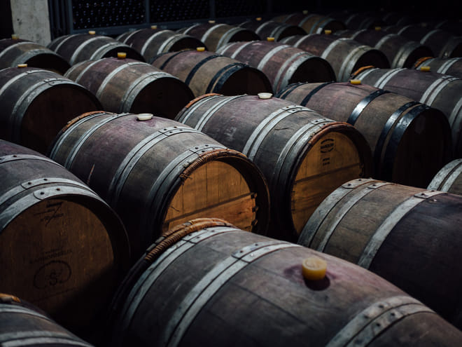 From Tbilisi: Kakheti Wine Region photo 5
