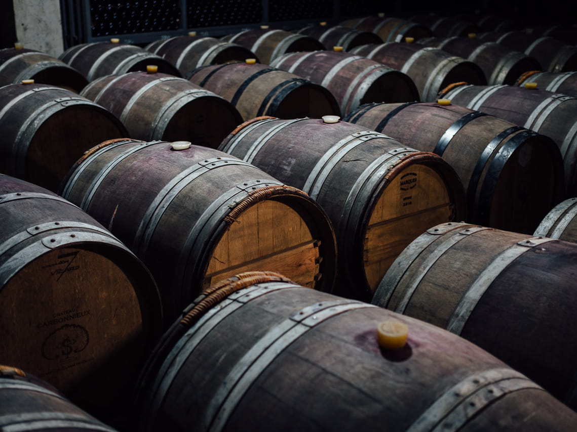 From Tbilisi: Kakheti Wine Region 5