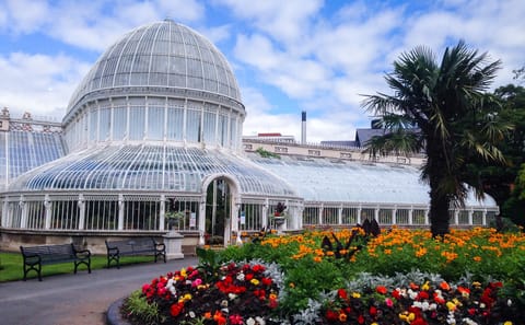 Belfast and Dublin Six-Day Rail and City Tour