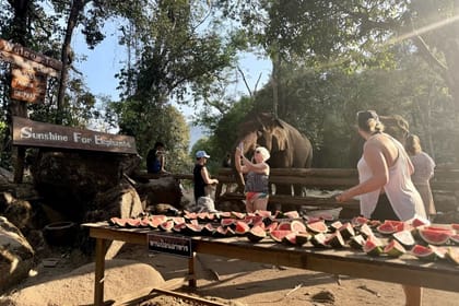 Chiang Mai 2-Day Adventure: River Tubing, Waterfall Slide & Elephant Feeding (Dorm Stay)