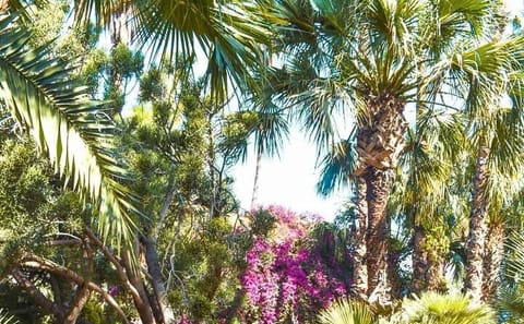 Majorelle Garden and Berber Museum Tour in Marrakech