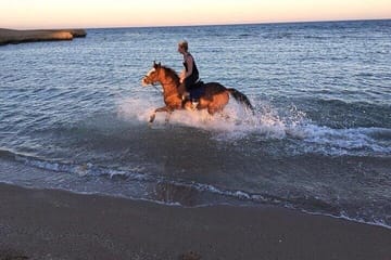 Horseback Riding Tour in Hurghada: Sea and Desert Adventure