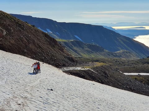 4-6 Hour Hiking Tour, photo 2