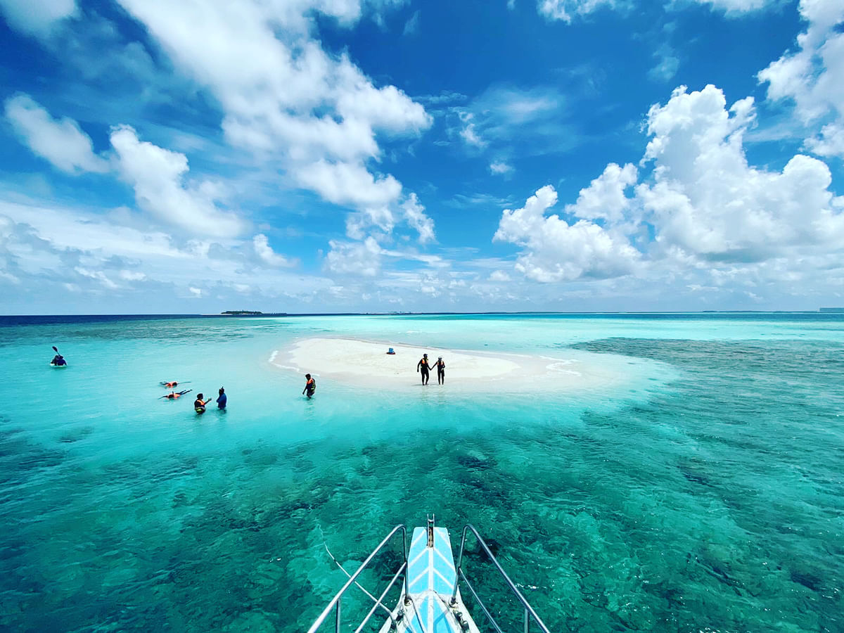 Maldives Dolphin Cruise, Sandbank Adventure & Local Island Tour
