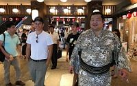 Private Walking Tour with Sumo Wrestler and Master Guide in Ryogoku