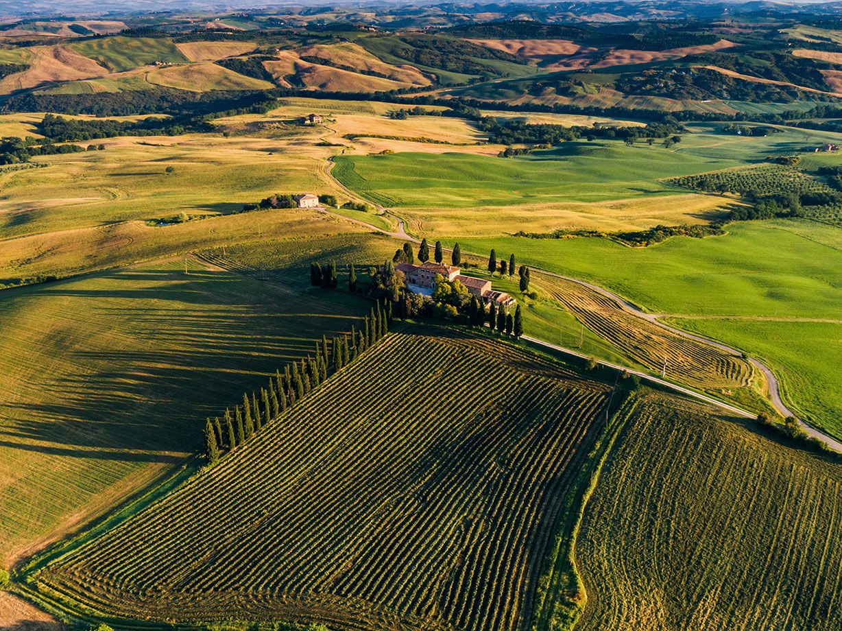 Aerial view of the typical Tuscan countryside in the Chianti region with cypress trees and vineyards