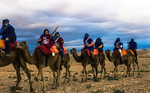 Camel Ride and Dinner Show in Agafay Desert, Marrakech