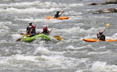 Rafting Adventure in Ecuador's Scenic Landscapes