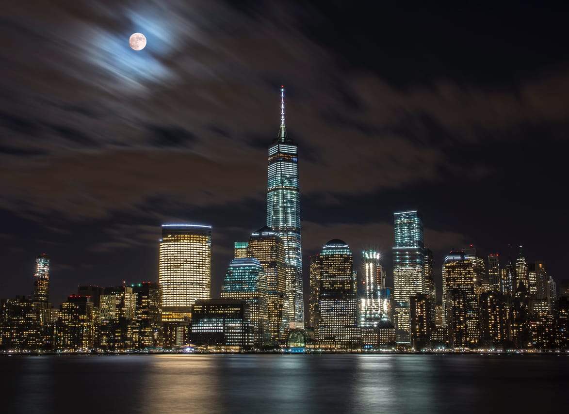 Skyline Tour of New York City 3