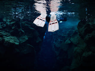 Into the Blue - Silfra Snorkeling, photo 22