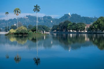 6-Day Cultural Tour of Colombo and Sri Lanka's Highlights