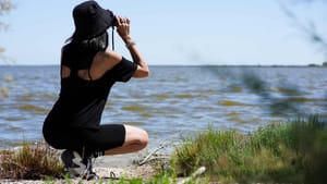 Comacchio Valleys: nature hike to the Boscoforte Peninsula among wild horses and lagoon landscapes