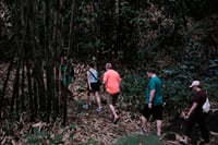 Mount Merapi: A Serene Soft Trek Through Botanic Villages Tour 5