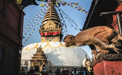 Private Full Day Tour of Kathmandu's UNESCO Heritage Sites
