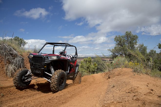 ½ Day : Buggy Adventure in Desert & Palms | Private & Luxury 8