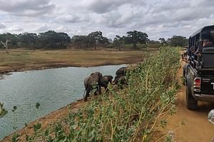 Yala National Park Safari from Unawatuna