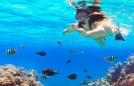 Snorkeling and Seascope Tour in Hurghada, Egypt