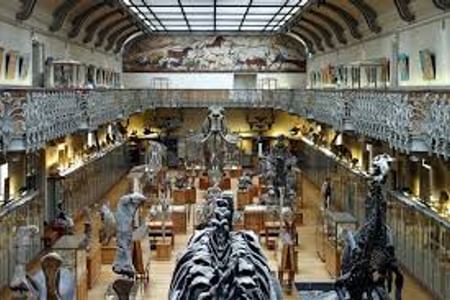 Paris History, Notre Dame Cathedral Visit & Crypte Entry Tickets