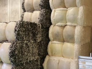 Icelandic Wool Yarn Factory Tour, photo 18