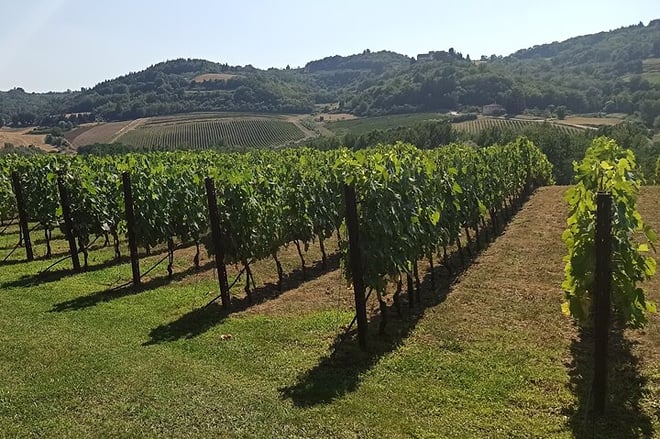 Where Gods’ Marble Takes Shape: Private Carrara Quarries Experience with Wine Tasting in Luni - Photo 4