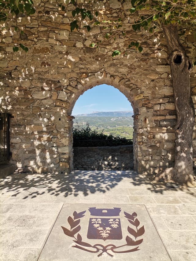 The vineyards of the Coteaux d'Aix-en-Provence and the Sainte-Victoire Mountain 5