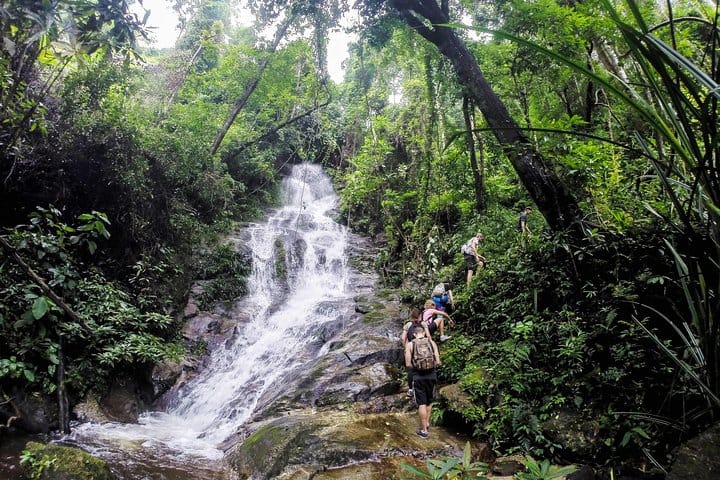Chiang Mai 7-Hour Doi Suthep National Park Summit Hiking