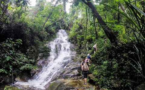 Hiking Tour to Doi Suthep Summit in Chiang Mai National Park