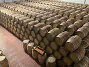 Lisbon's Northern Region Wine Tasting Private Tour 8