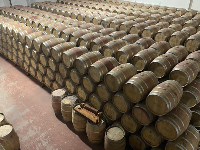 Lisbon's Northern Region Wine Tasting Private Tour 8