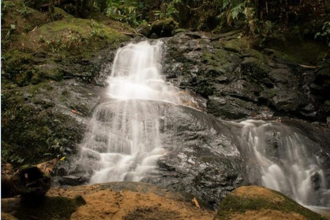 Immersion In An Untouched Ecosystem – Adventurous Full Day Hiking Tour photo 6
