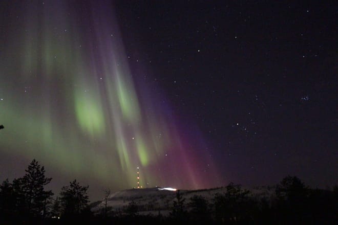 Arctic Skies – Evening Reindeer Safari 4