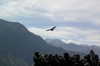 4-day Essential Arequipa and Colca Canyon Tour Package 6