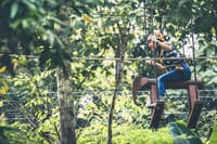 Phoenix Zipline Adventure Park – Chiang Mai Thrills 5
