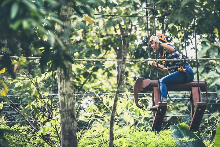 Phoenix Zipline Adventure Park – Chiang Mai Thrills 5