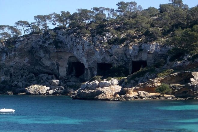 Mallorca Full Day Sailing with Paella 8
