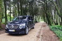 Lisbon to Madrid Private Transfer: Stops in Évora & Toledo 5