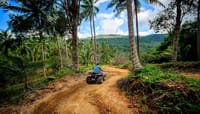 2 Hour ATV Jungle Adventure  8