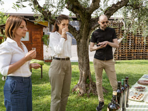 Lake Garda Olive Oil Tour and Tasting Experience