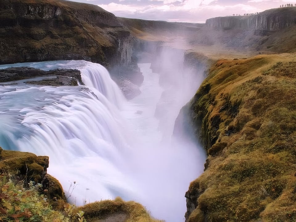Golden Circle Day Tour with Friðheimar Farm — Your Friend in Reykjavik