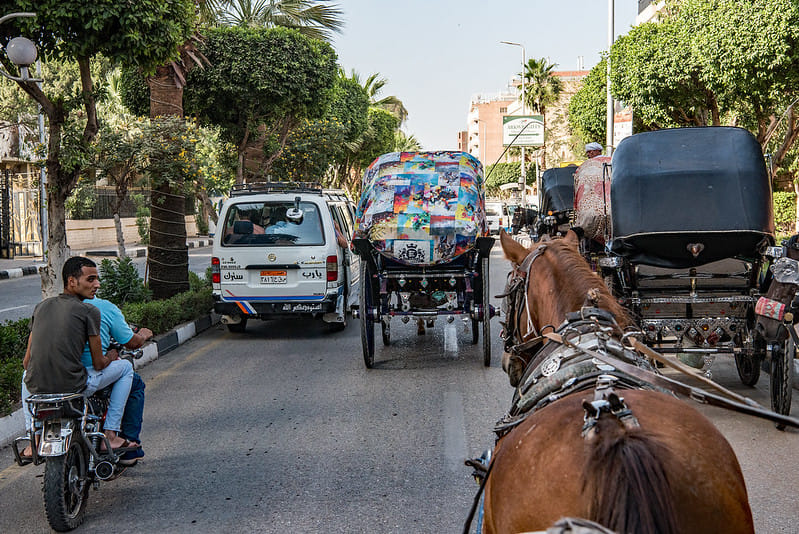 City Tour by Horse Carriage – Hantour