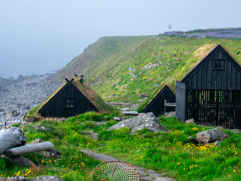 3 Day - Westfjords Highlights Adventure